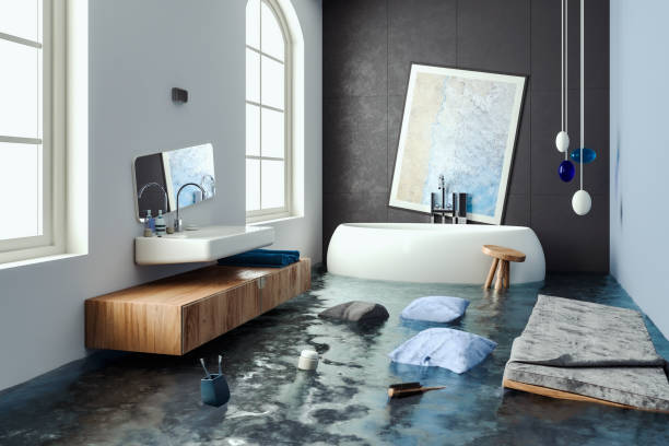 Best Carpet water damage restoration  in Ferron, UT