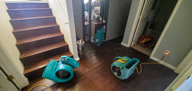 Best Sewage cleanup and water damage restoration  in Ferron, UT
