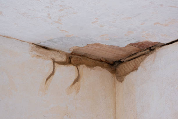 Best Mold removal after water damage  in Ferron, UT