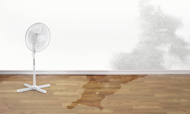 Best Fire Damage Restoration  in Ferron, UT