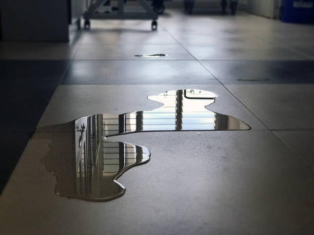 Best Commercial water damage restoration  in Ferron, UT