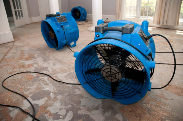 Best Water damage restoration insurance claims  in Ferron, UT