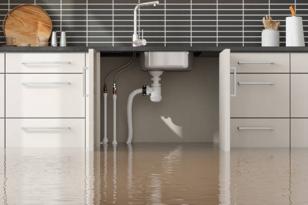 Best Professional water damage repair  in Ferron, UT
