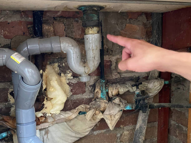 Best Water damage restoration near me  in Ferron, UT