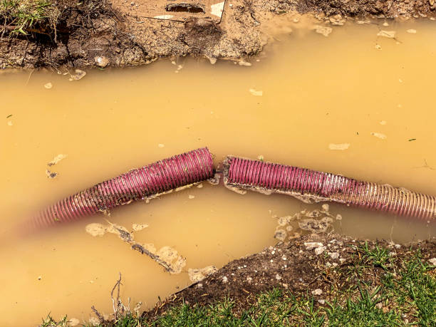 Best Flood damage cleanup  in Ferron, UT